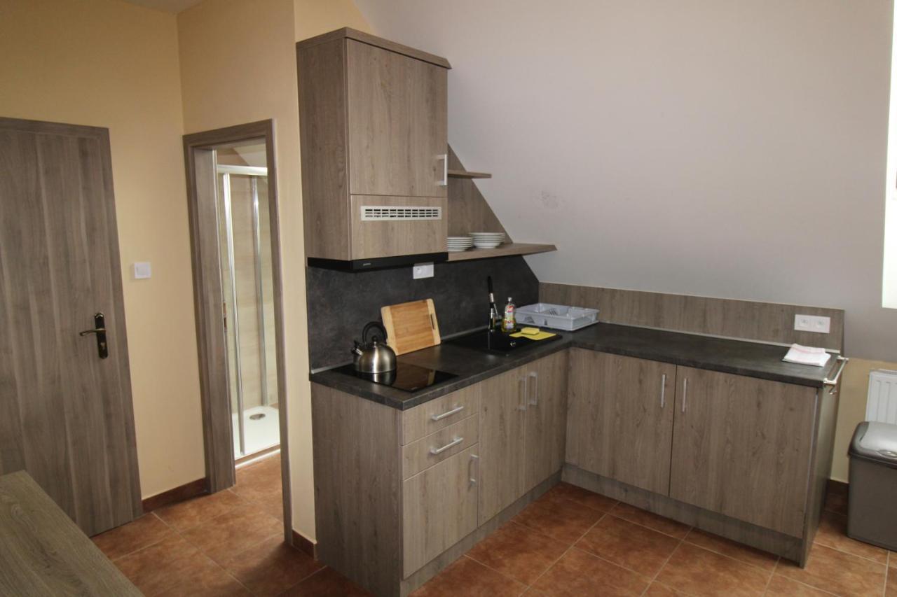 Borovec Hotel Sedlnice Bagian luar foto